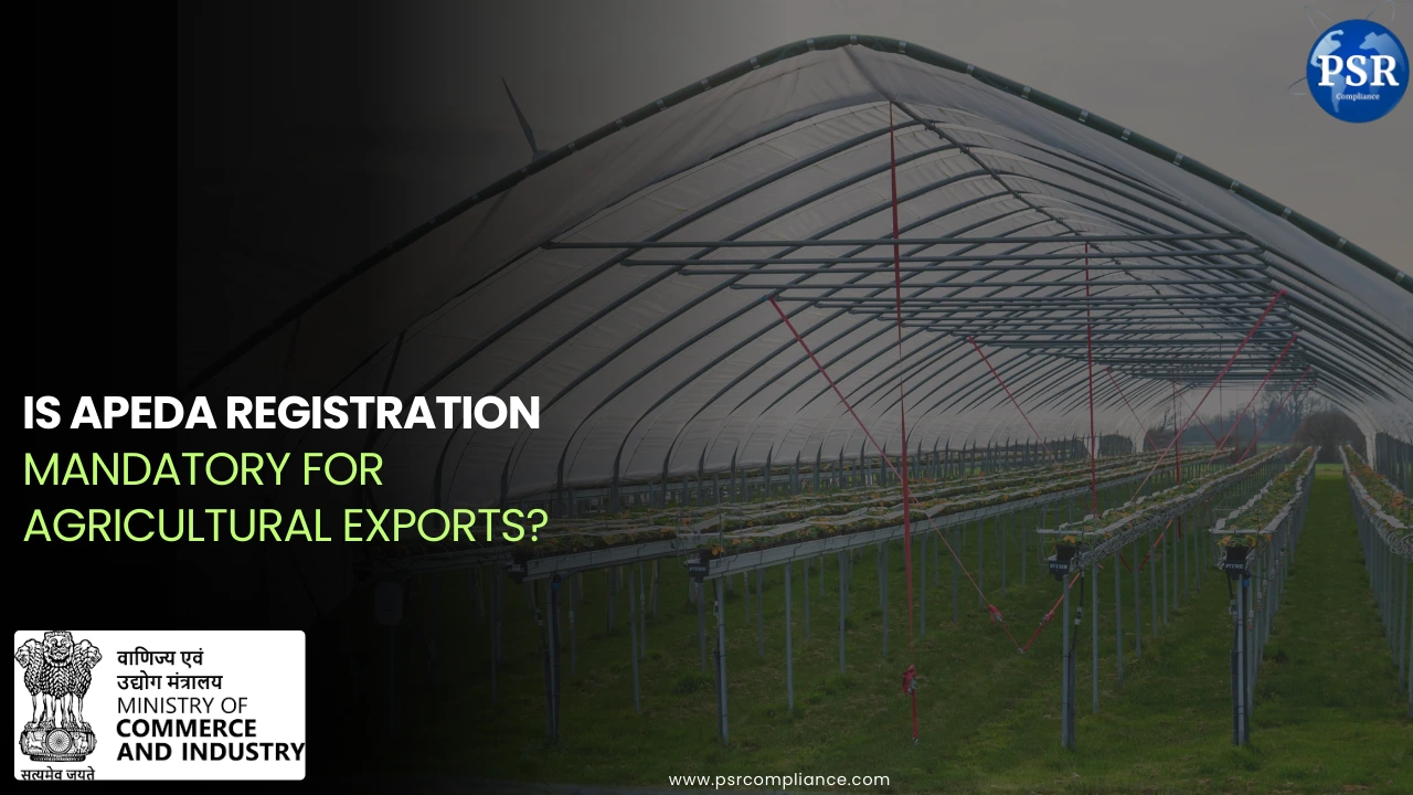 12A & 80G Registration for NGOs in Delhi – Updated Guide (2025)