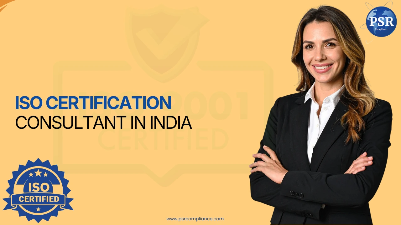ISO Certification Consultant : The Secret Weapon Behind Businesses That Win Big Contracts