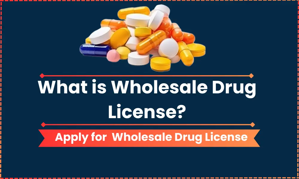 Wholesale Drug License in India: Complete Guide for 2026